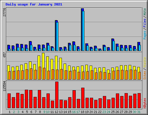 Daily usage for January 2021