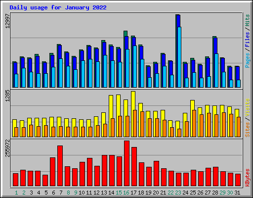 Daily usage for January 2022
