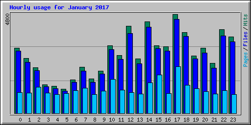 Hourly usage for January 2017