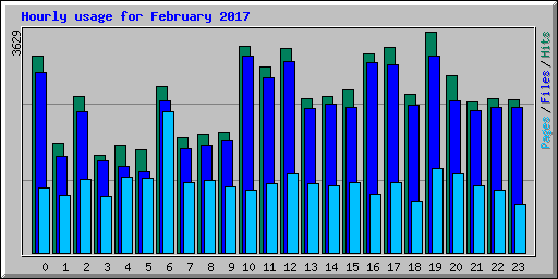 Hourly usage for February 2017