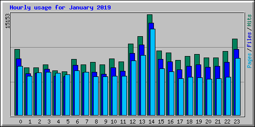 Hourly usage for January 2019