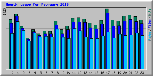 Hourly usage for February 2019