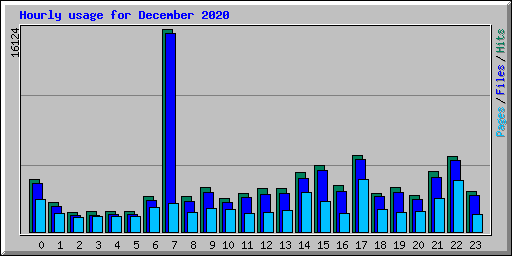 Hourly usage for December 2020