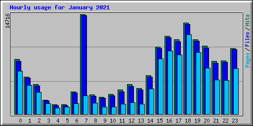 Hourly usage for January 2021