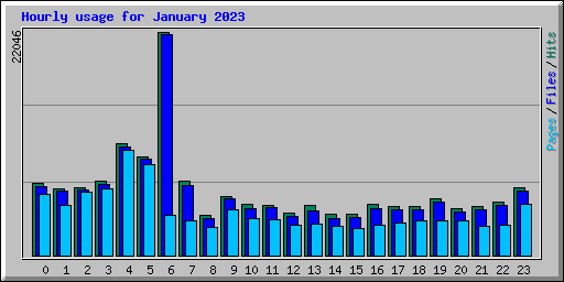 Hourly usage for January 2023
